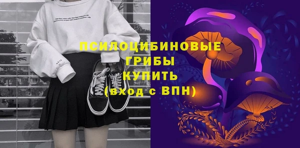 дживик Алексин