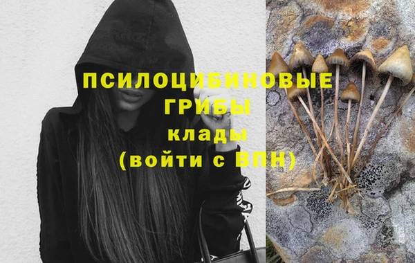 винт Алексеевка